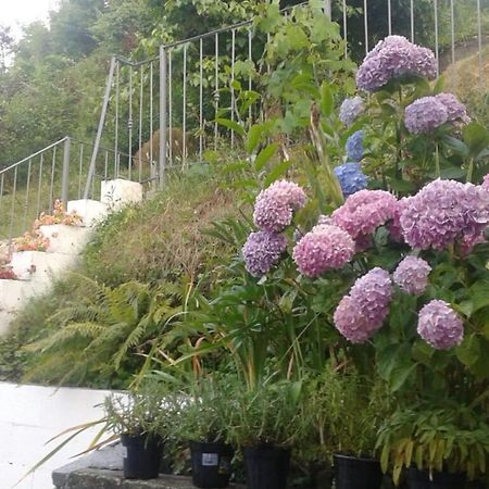Apartment Maison De Marina Piano di Follo Екстер'єр фото